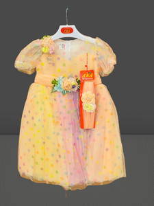 FANCY FROCK LittleTwin BabyShop