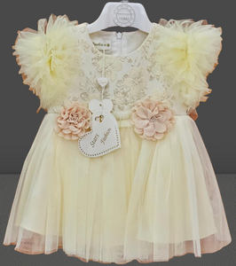 FANCY FROCK LittleTwin BabyShop